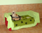 Pension_25