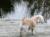 Pension_27