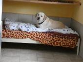 Pension_4