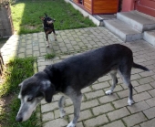 Pension_54