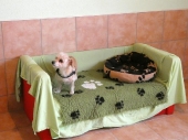 Pension_58