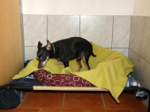 Pension_8