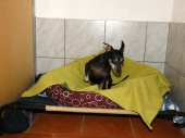 Pension_9