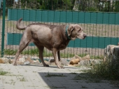 Pension_28