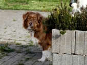 Pension_2