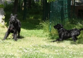 Pension_2