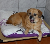 Pension_2