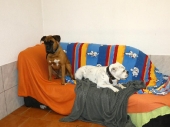 Pension_10