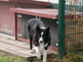 Pension_11