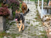 Pension_19
