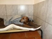Pension_21