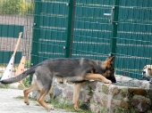 Pension_22