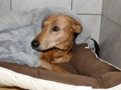 Pension_22