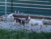 Pension_25