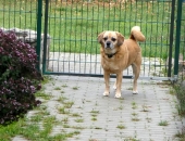 Pension_28
