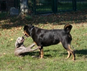 Pension_2