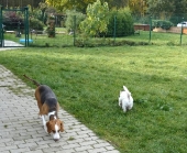 Pension_2