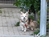 Pension_40
