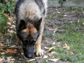 Pension_42