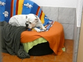 Pension_54