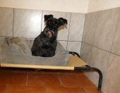 Pension_56