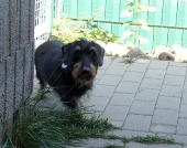 Pension_10