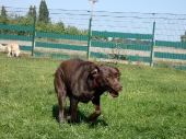 Pension_11