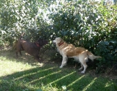 Pension_14