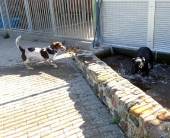 Pension_1