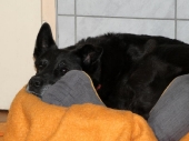 Pension_1