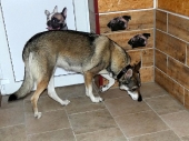 Pension_20