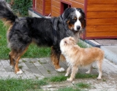 Pension_21
