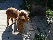 Pension_22