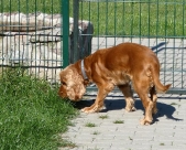 Pension_23
