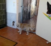 Pension_23