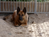 Pension_29
