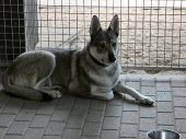 Pension_36