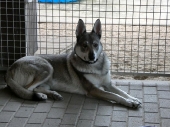 Pension_37