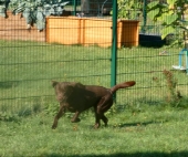 Pension_40