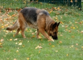 Pension_45