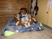 Pension_52