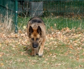 Pension_5