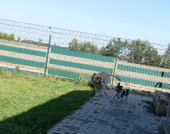 Pension_61