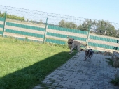 Pension_62