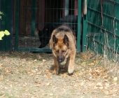 Pension_67