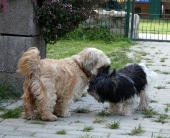 Pension_6