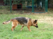 Pension_7