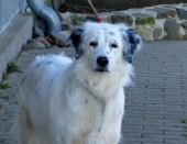 Pension_10