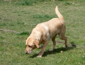 Pension_29