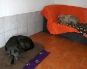 Pension_11